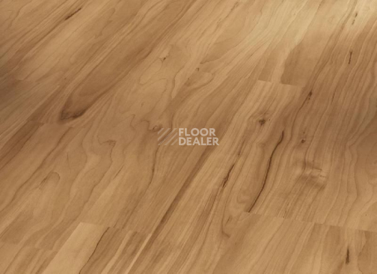 Ламинат Parador Basic Plus 400 1426505 Яблоня Янтарная фото 1 | FLOORDEALER